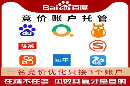 百度竞价赚钱的实战案例分析